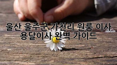 울산 울주군 가천리 원룸 이사 용달이사 완벽 가이드