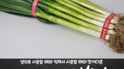 넉넉한 행복! 대파4kg 후기 & 활용법 꿀팁 공개! 🤩
