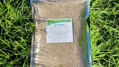 초특가! 우리집 정원 변신, 경기도잔디 리얼 후기🌱🏡